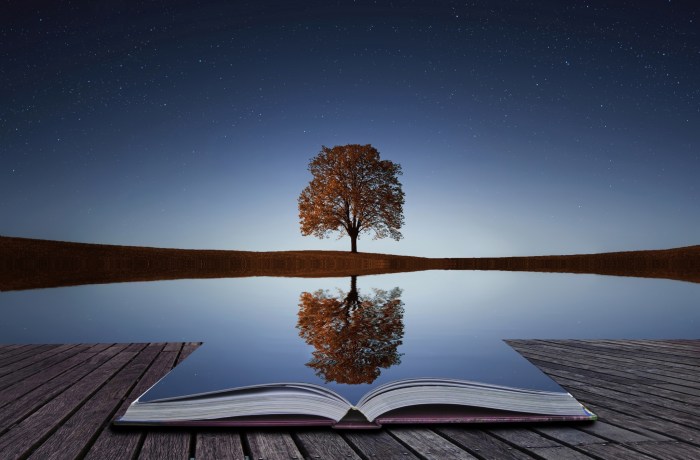 reflection