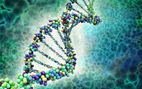 800,000 human gene evidence