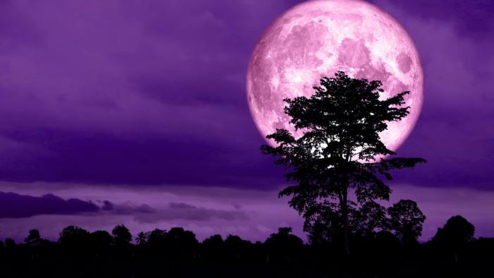 suoermoon pink
